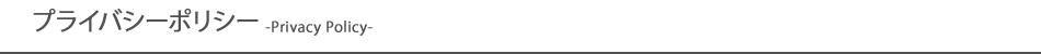 プライバシーポリシー (個人情報の取り扱い) について
